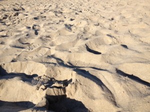 ridges in sand
