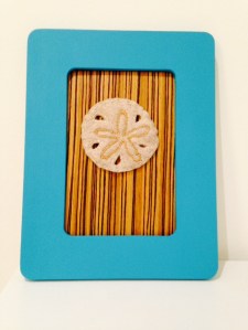 finished sand dollar