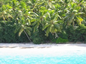 Cinnamon Bay, St. Thomas