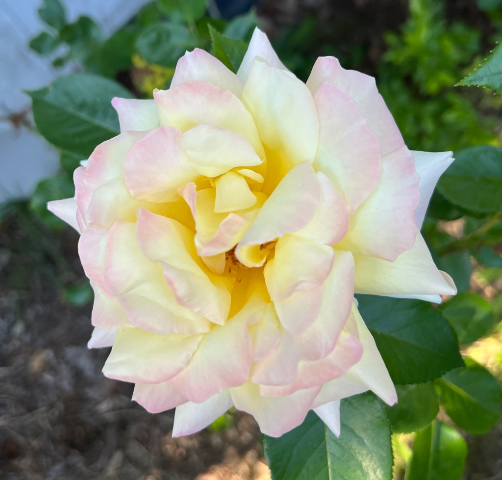 A bit of a&nbsp;refresh…