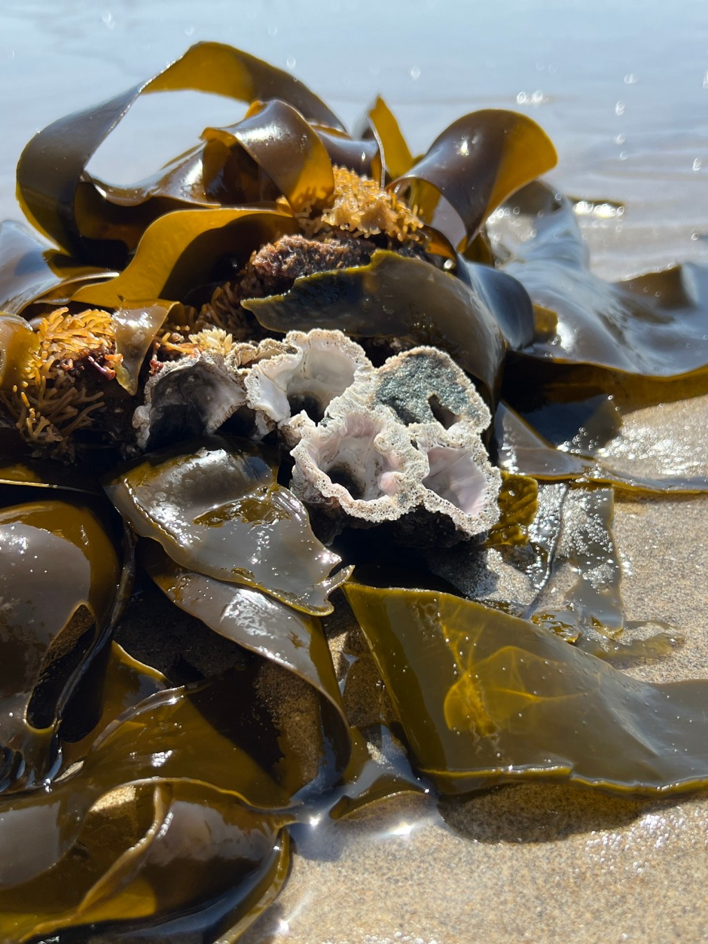 Pacific City Stroll- Part&nbsp;2