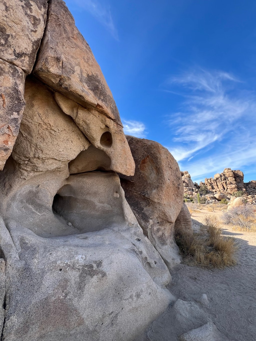 Joshua Tree National Park-&nbsp;III
