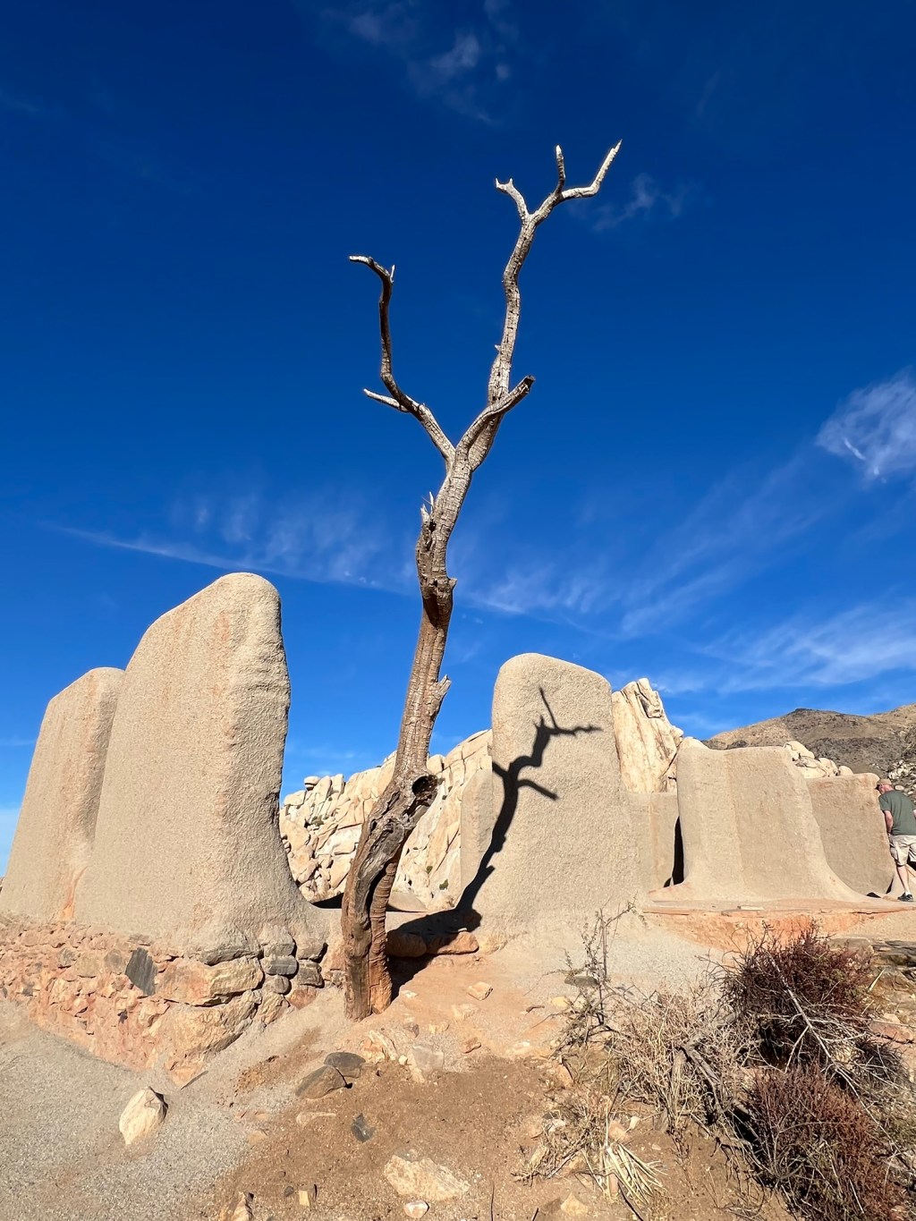 Joshua Tree National Park-&nbsp;VII
