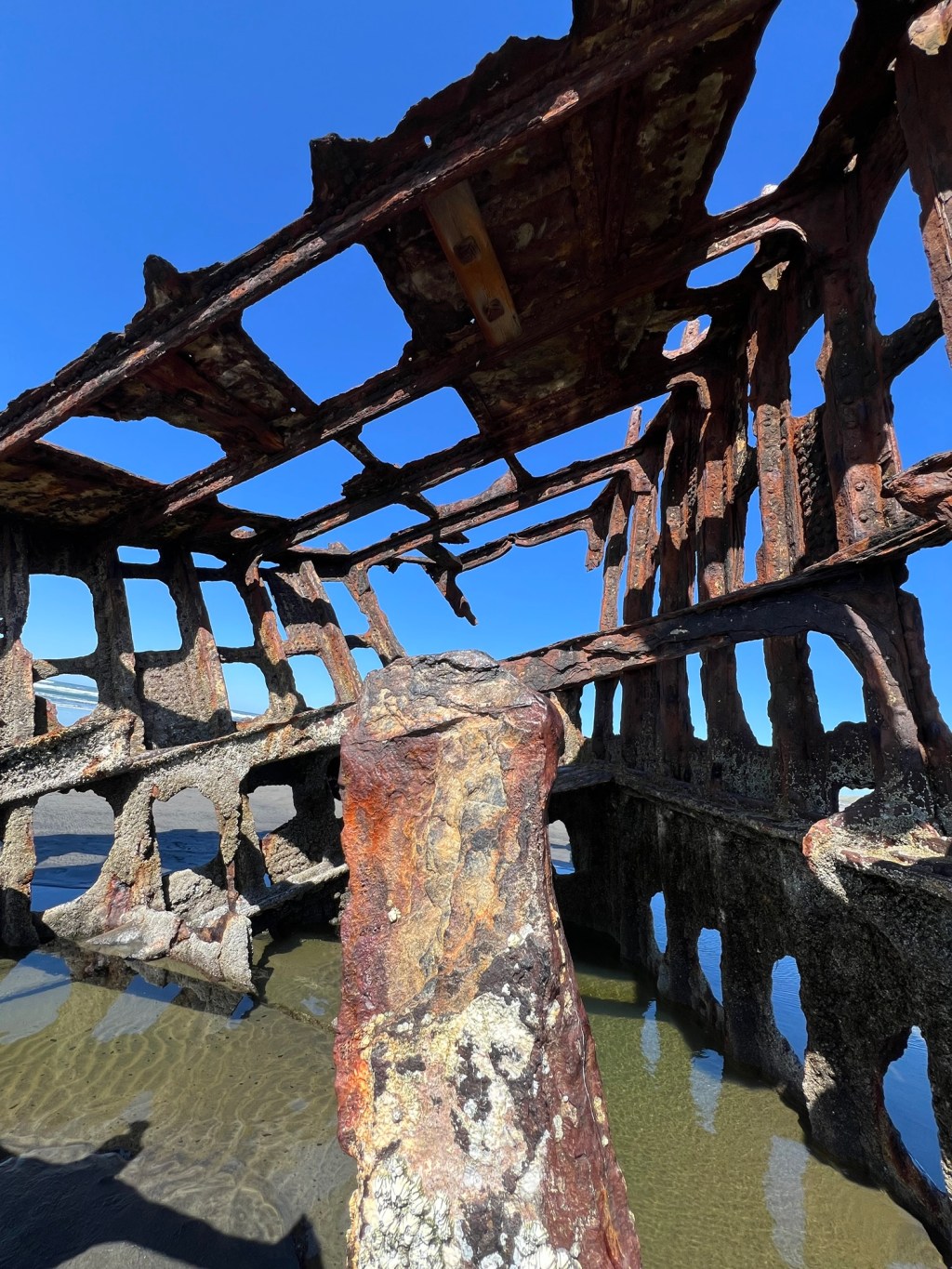 Peter Iredale Shipwreck&nbsp;Exposed-III